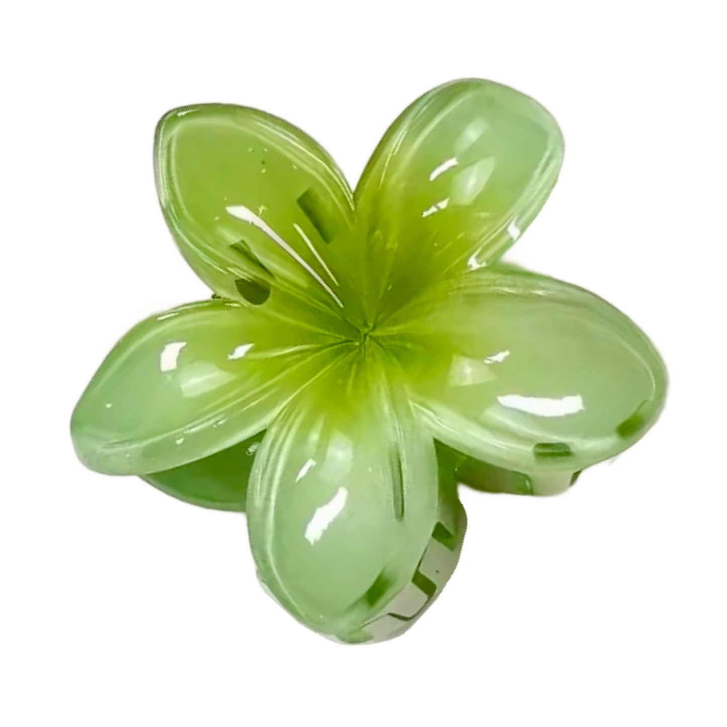 Caimán Flor Pasta