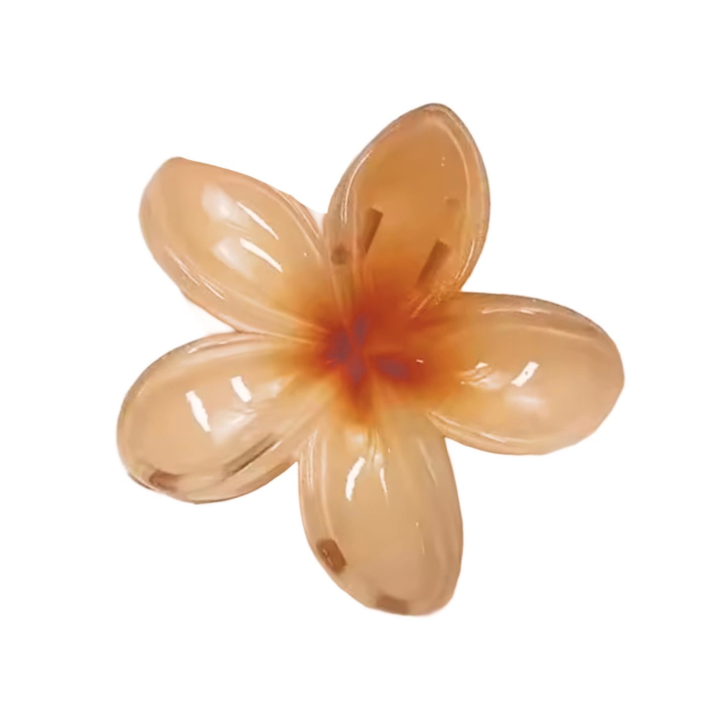 Caimán Flor Pasta