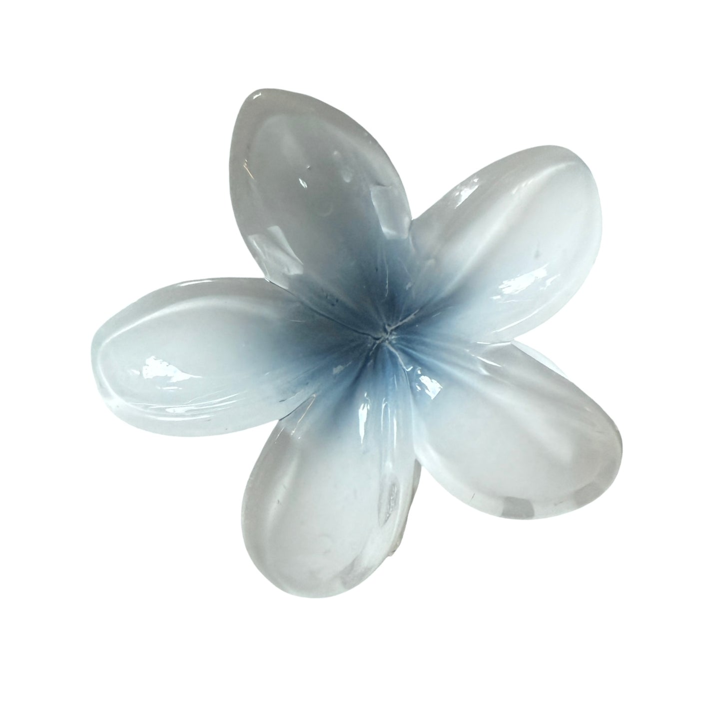 Caimán Flor Pasta