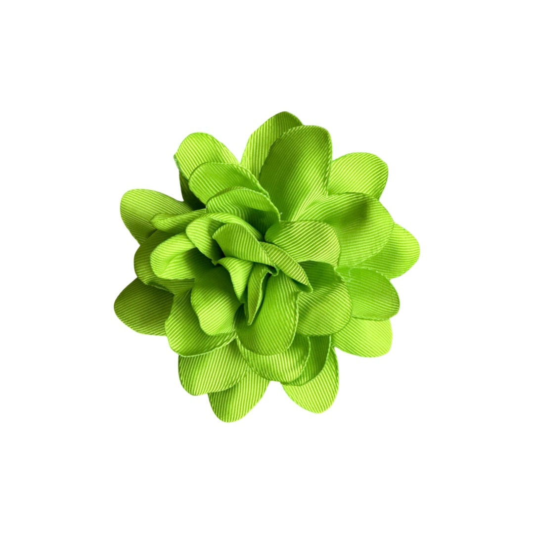 Clip Flor Cinta Faya