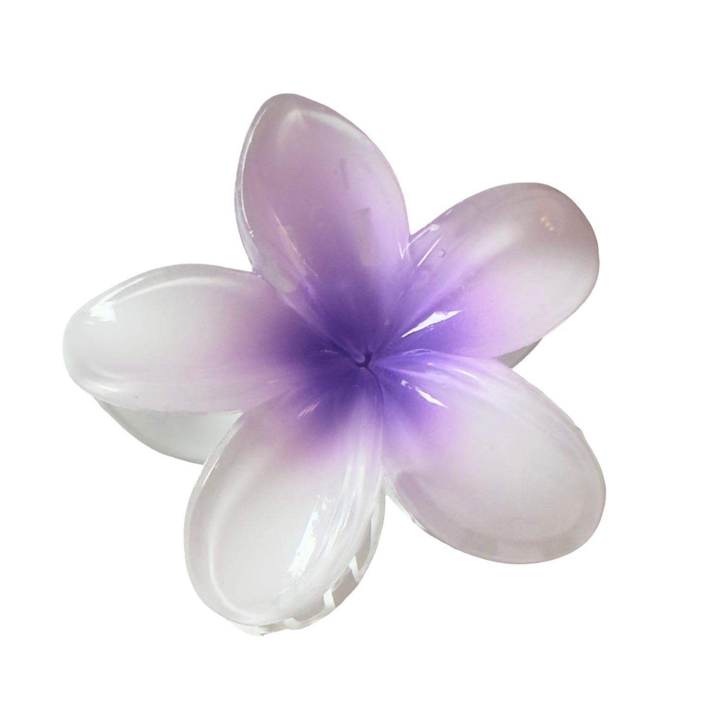 Caimán Flor Pasta
