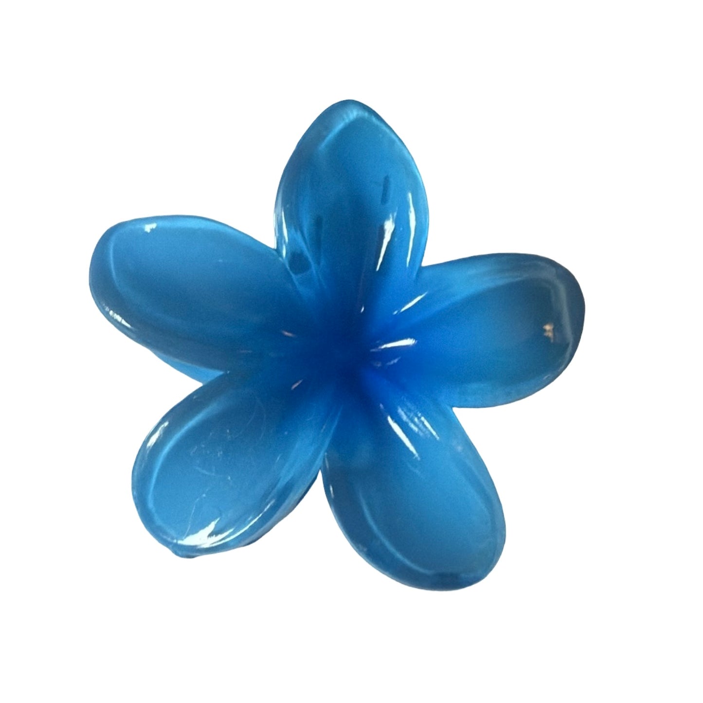 Caimán Flor Pasta