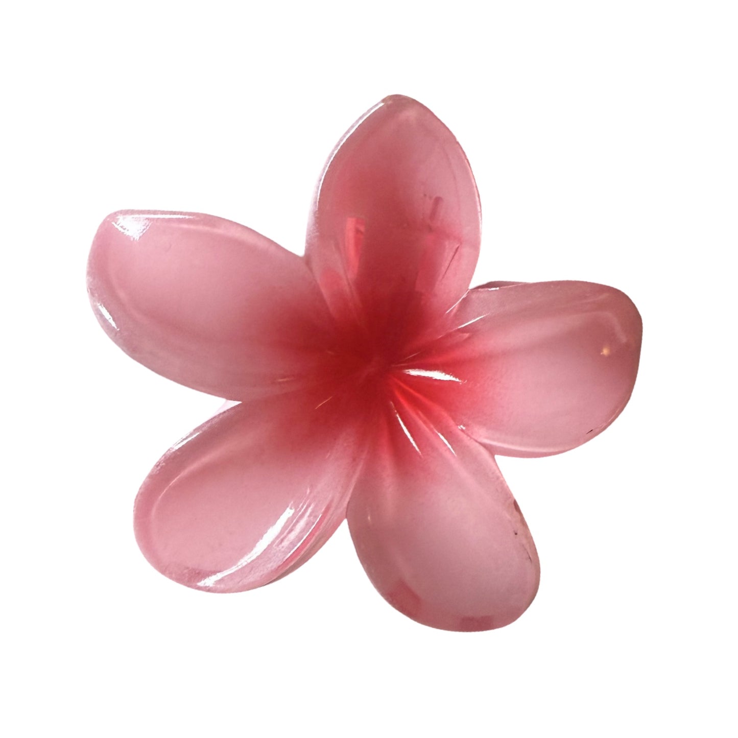 Caimán Flor Pasta